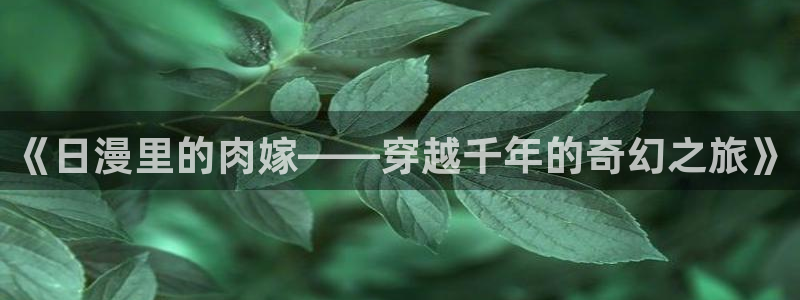 51动漫永久免费看nba视频