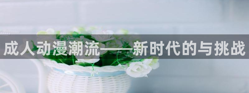 51动漫免费观看