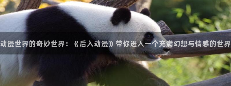 51动漫破解版免费看nba