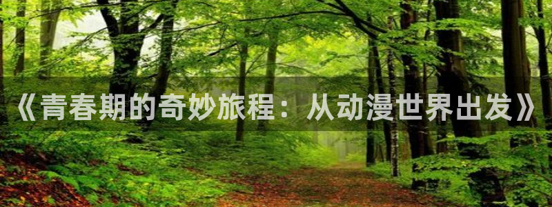 51动漫下载网站