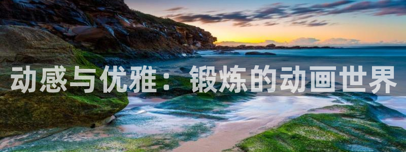 51动漫官网入口